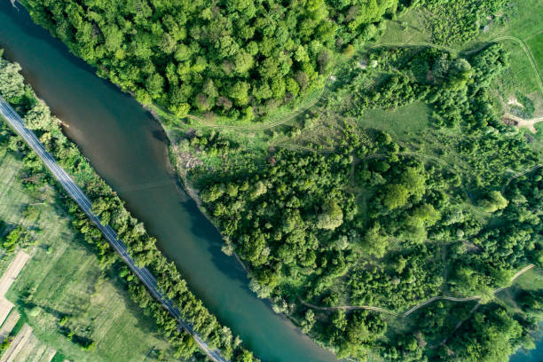 istock Road, river and forest aerial view. Drone photo. 1147986308