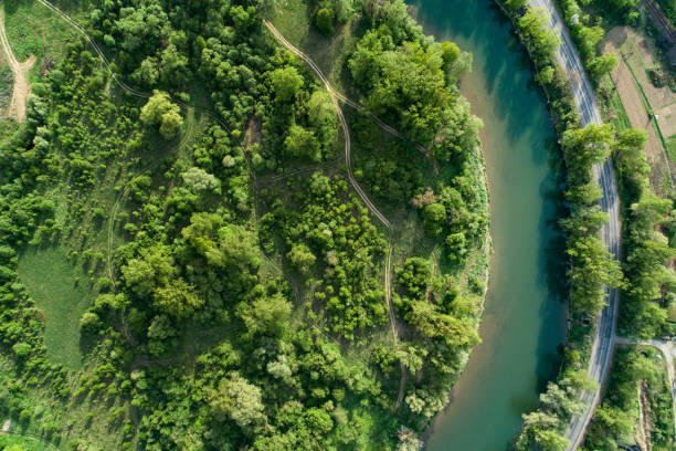 istock Road, river and forest aerial view. Drone photo. 1147986352