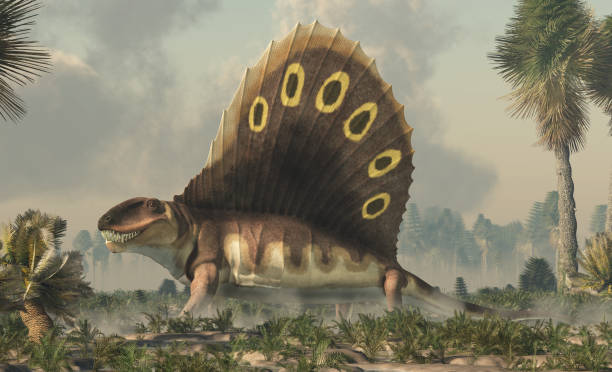 Dimetrodon in a Wetland