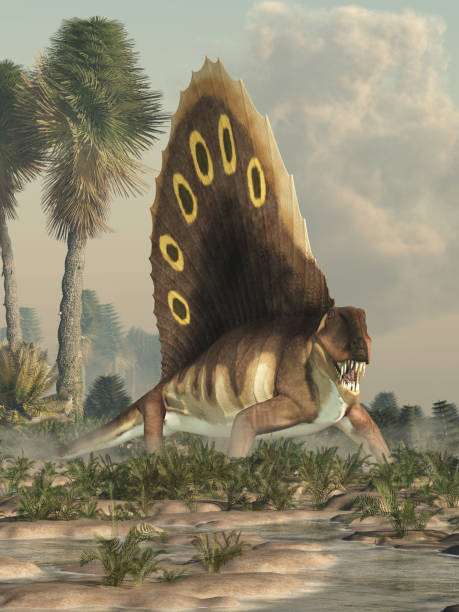 istock Dimetrodon in a Wetland 1147987061