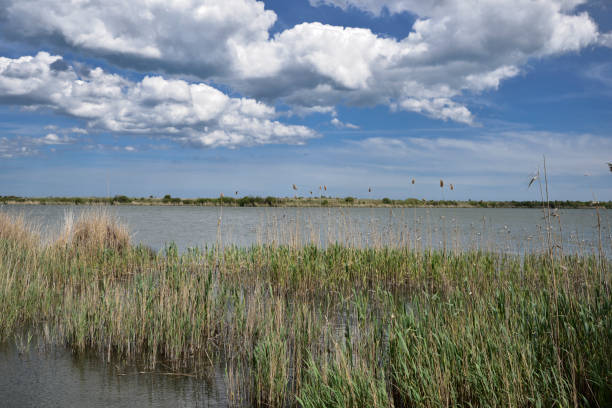 istock Durankulak lake, Bulgaria 1147988187