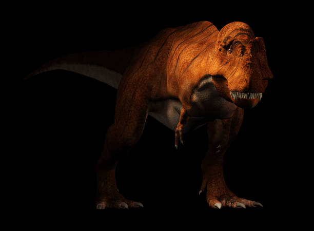 Tyrannosaurus Rex on Black Background stock photo