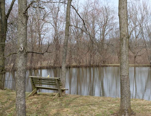 istock Wood Bench bye the Reflecting Pond 1147990100