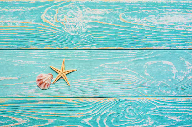 istock blue wooden background with starfish and shell. Summer beach minimal concept with free space for text 1147991134