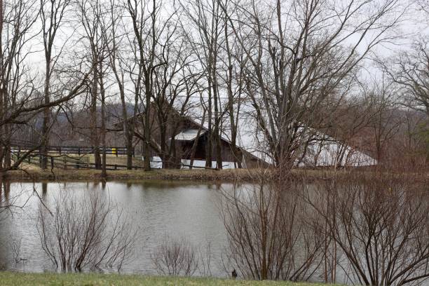 istock Pond on the Farm 1147991197