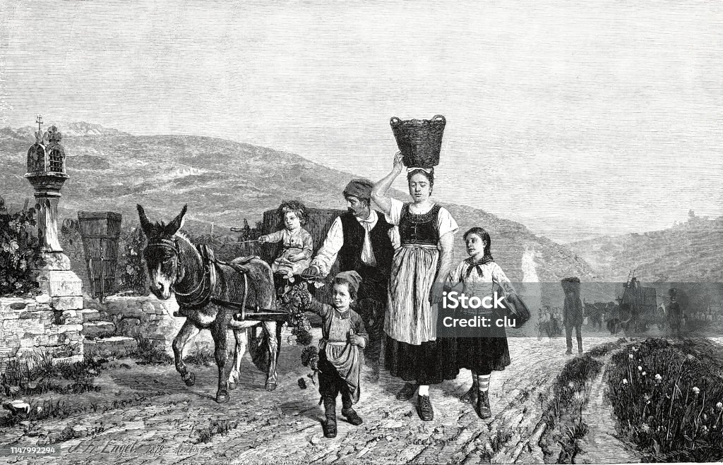 Family during grape harvest, at the Mosel river Illustration from 19th century Wine stock illustration