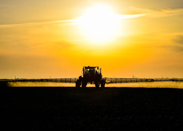 ciągnik za pomocą opryskiwacza rozpyla płynne nawozy na młodych pszenicy w polu. - crop sprayer insecticide spraying agriculture zdjęcia i obrazy z banku zdjęć