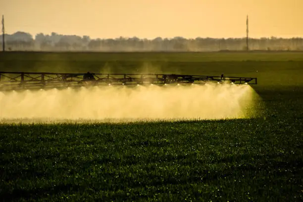 Jets of liquid fertilizer from the tractor sprayer. Tractor with the help of a sprayer sprays liquid fertilizers on young wheat in the field. The use of finely dispersed spray chemicals.