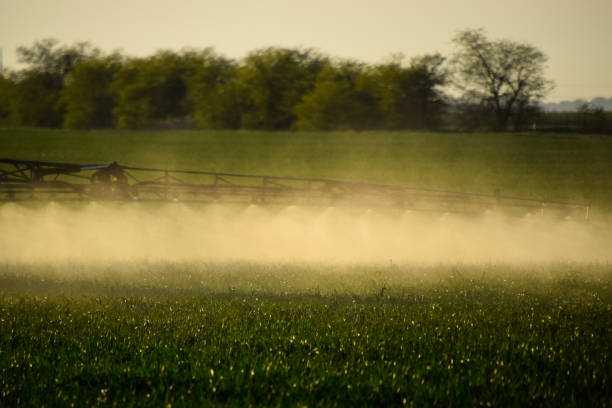 istock Jets of liquid fertilizer from the tractor sprayer. 1147997222