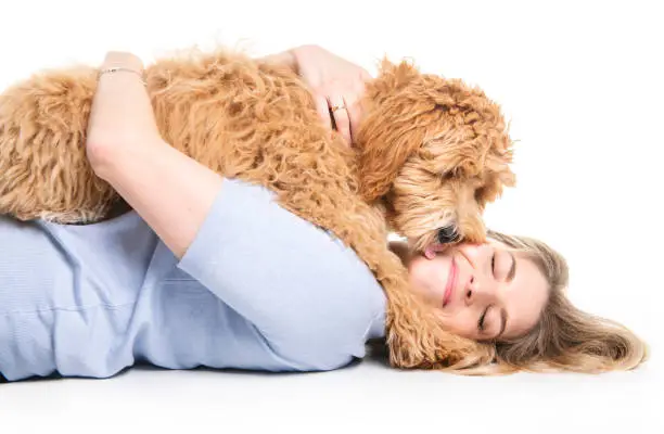 A woman with his Golden Labradoodle dog isolated on white background