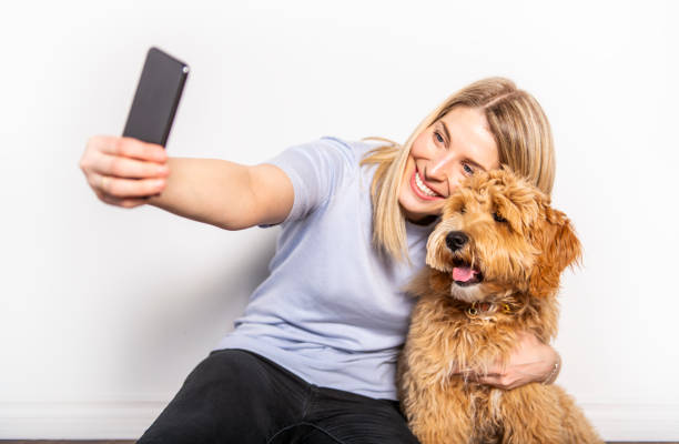 mujer con su perro labradoodle dorado aislado sobre fondo blanco - mascota fotos fotografías e imágenes de stock