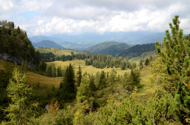 istock Scenery near Lake Gosau 1147997829