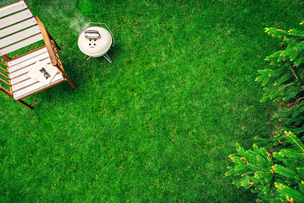 parrilla de color marfil en la hierba cerca del sillón de madera con un libro y gafas. vista superior - wood chair outdoors rural scene fotografías e imágenes de stock