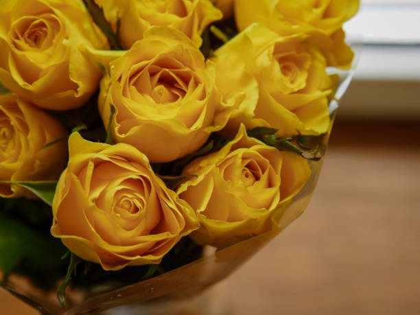 istock Beautiful yellow roses close view 1147998956