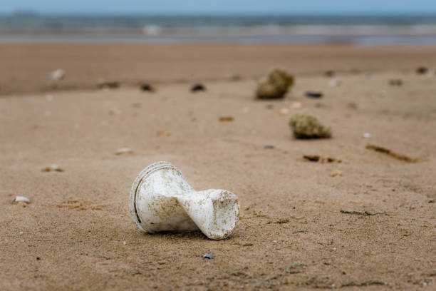 istock plastic glass hanging on the beach 1148001719