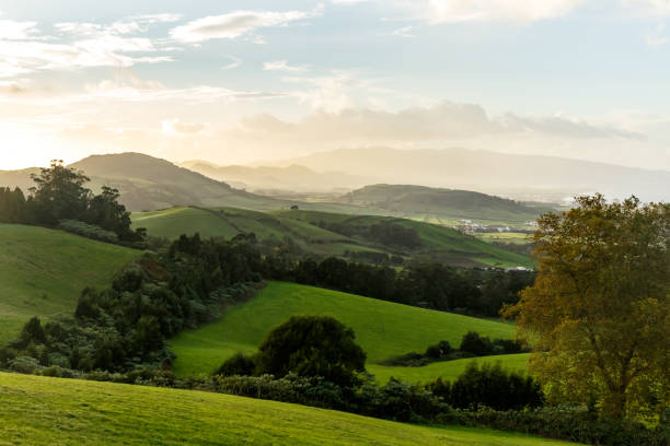 istock Green meadows on sunset. Azores 1148003511
