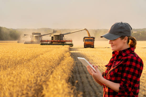 디지털 태블릿을 가진 여자 농부 - tractor agriculture field harvesting 뉴스 사진 이미지