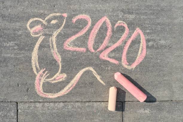 istock Top view on text and picture, 2020 and pretty mouse 1148006606