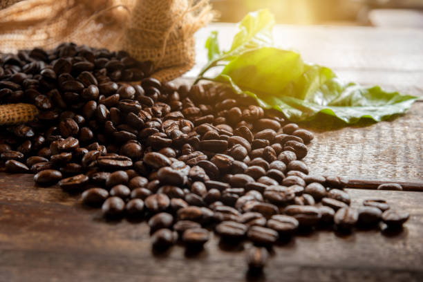 coffee grains in bag and leaves. - bag coffee bean bean food imagens e fotografias de stock