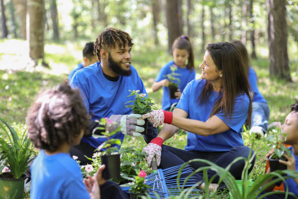 embellecimiento medioambiental. los voluntarios plantan flores, plantas en el parque local en primavera. - friendship park flower outdoors fotografías e imágenes de stock