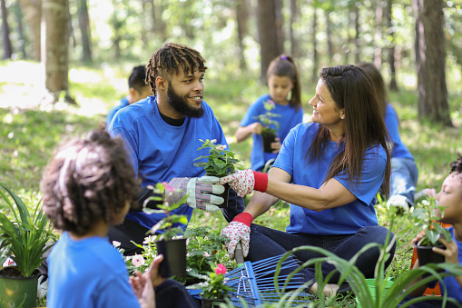 Environmental beautification. Volunteers plant flowers, plants at local park in spring.