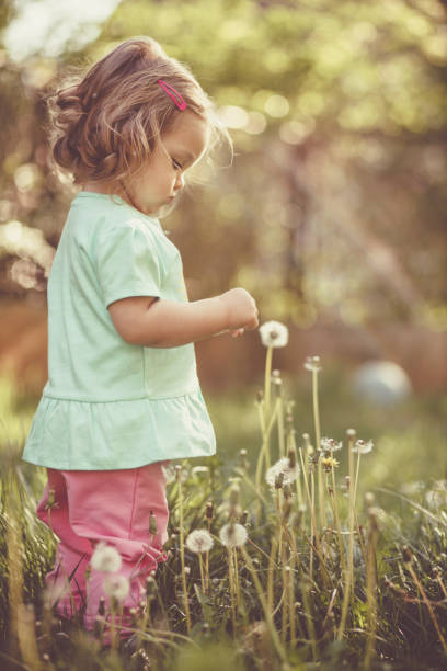 istock Little girl playing with dandelions 1148010342