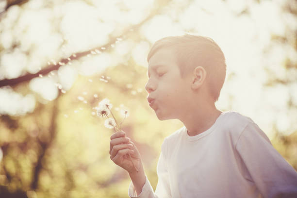 istock Teenage boy blowing dandelion 1148010374