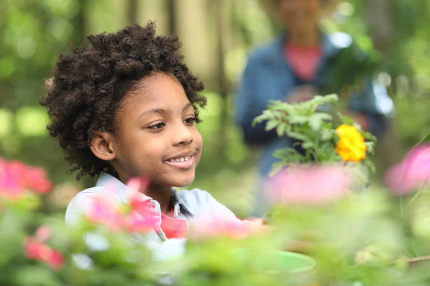istock Grandmother and child gardening outdoors in spring. 1148010592