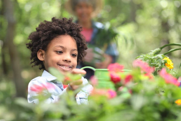 istock Grandmother and child gardening outdoors in spring. 1148010612