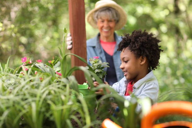 istock Grandmother and child gardening outdoors in spring. 1148010659