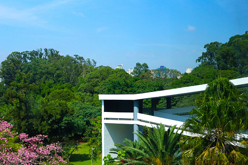 Biennale Ramp in Ibirapuera Park