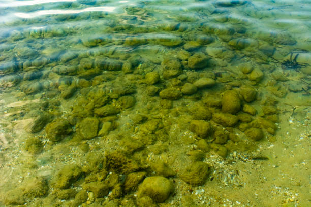istock Ocean sea bottom floor rocky coast with clean see-through water 1148012535