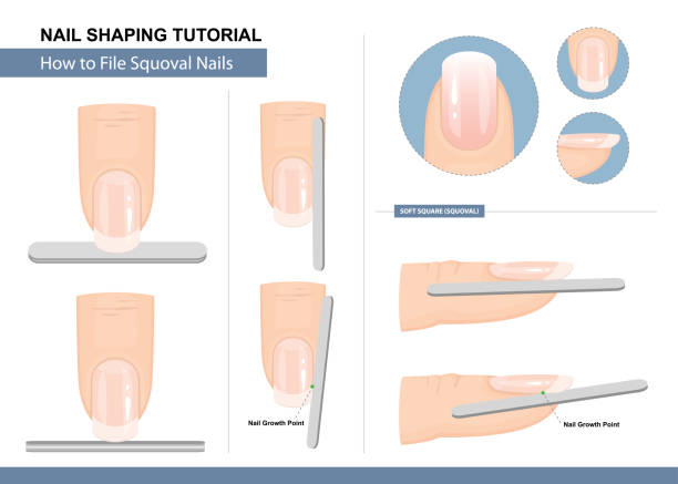 illustrations, cliparts, dessins animés et icônes de nail shaping tutorial. comment déposer une forme d’ongle squoval. instruction étape par étape. illustration vectorielle - nail file