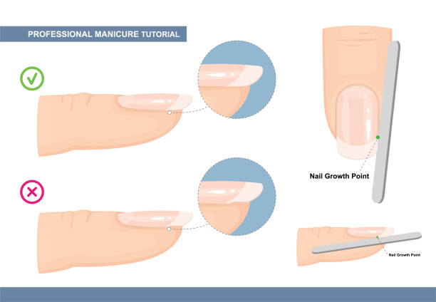 профессиональный маникюр учебник. идеальная форма ногтей. как файл ногти правильный путь. ошибки маникюра. иллюстрация вектора - file extension stock illustrations