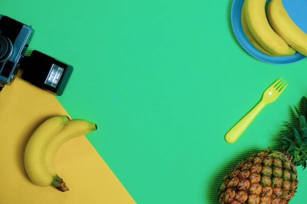 Summer Party. Time To Relax go to beach and Travel with Camera, Banana and Pineapple Fruit on Pastel Background. Vintage Design Style