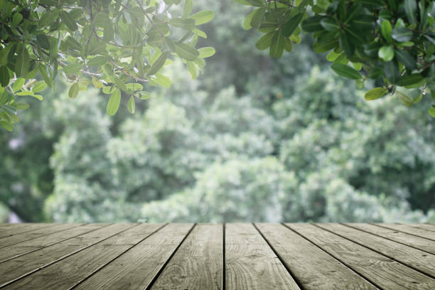 istock Wooden table and blurred green nature garden background. 1148017961