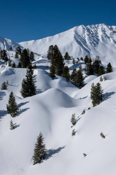 Undulating snowy mountainscape undulating snow covered landscape above la plagne french alps la plagne photos stock pictures, royalty-free photos & images
