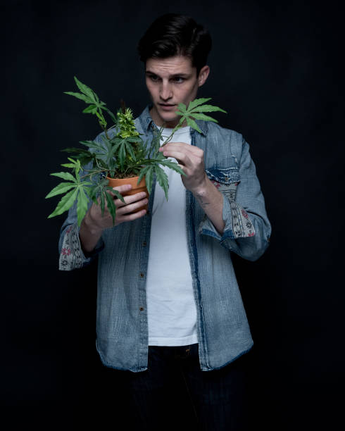 istock Close up view of man with marijuana plant 1148020257