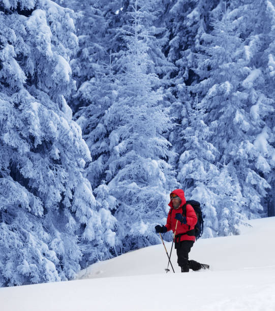 istock Backpacker makes his way on slope with new-fallen snow 1148021132