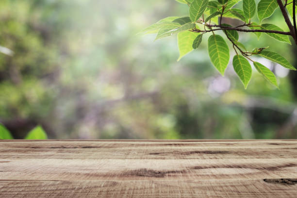 istock Wooden table and blurred green nature garden background. 1148022811