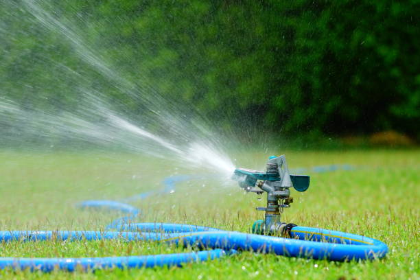 istock Water springer in lawn with dog spots 1148023454