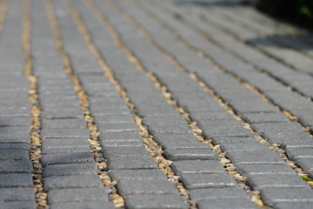 istock Brick walkway in the tropical garden 1148024494