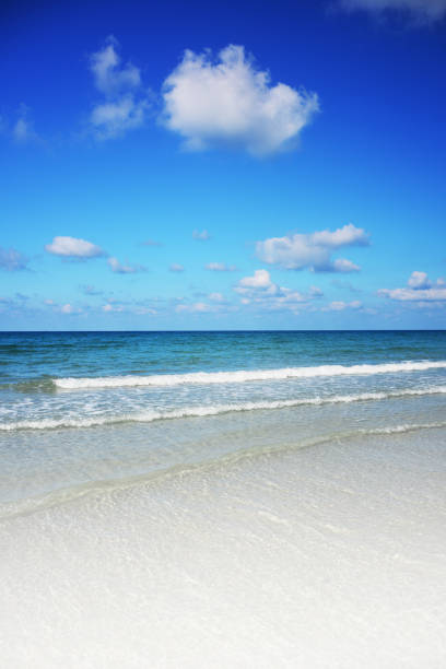 istock Tropical beach background and empty wooden, Summer. 1148025715
