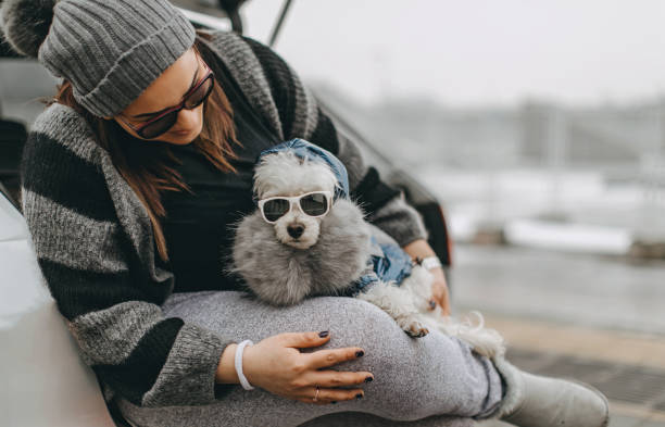 istock One woman sitting and playing with dog 1148027032