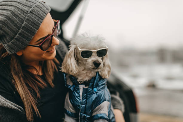 istock One woman sitting and playing with dog 1148027041