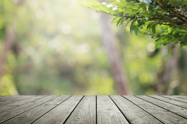 istock Wooden table and blurred green nature garden background. 1148027042