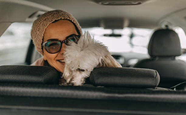 istock One woman sitting and playing with dog 1148027159