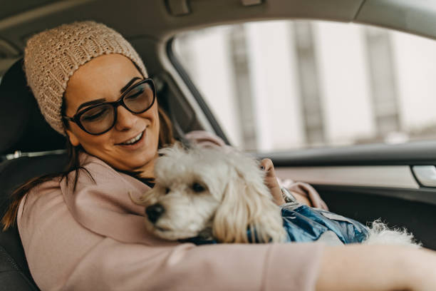 istock One woman driving and playing with dog 1148027162