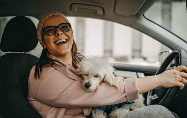 istock One woman driving and playing with dog 1148027738