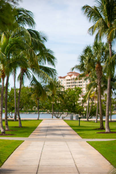 istock Stock image garden pathway with palm trees blurry background 1148028516